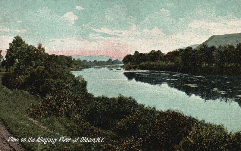 Vintage Postcard 1910's View On The Allegany River At Olean New York