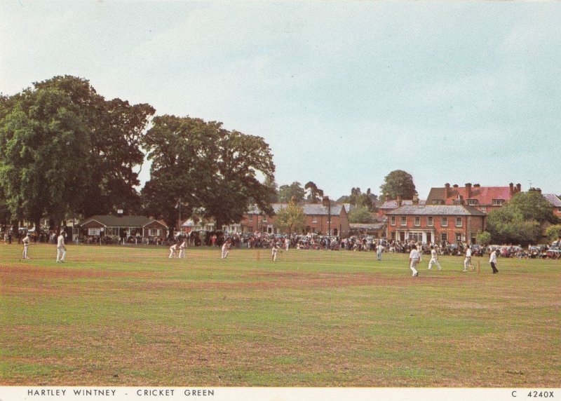 Hartley Wintney Hampshire Village Cricket Green 1970s Postcard