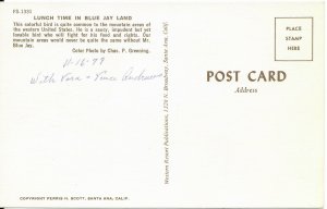 US. California.  Blue Jay land.  unused - writing on back - 1979