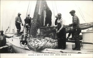 Grand Manan New Brunswick Fishing Weir Whale Cove Real Photo Postcard