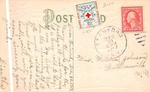 Happy New Year Washington DC, USA 1917 