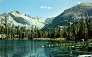 Longs Peak,Rocky Mountain National Park BIN