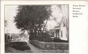Oakland, Nebraska - The houses on Second Street - c1908
