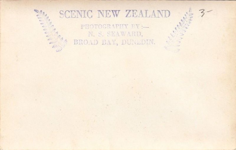 Postcard RPPC Pohutu Geyser Rotorua New Zealand