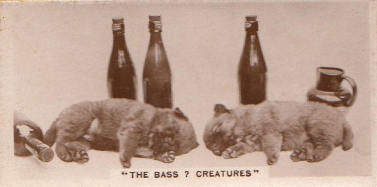 Dog Dogs Drunk On Bass Alcohol Beer Old Real Photo Cigarette Card