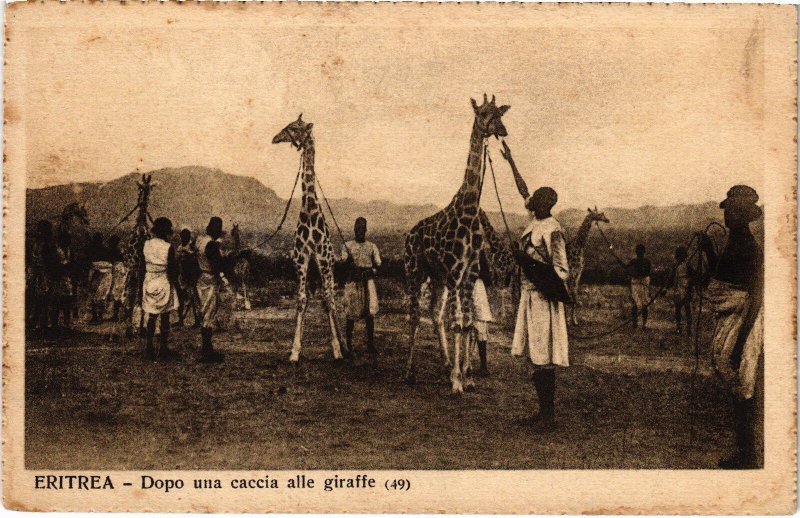 PC DOPO UNA CACCIA ALLE GIRAFFE ETHNIC TYPES ERITREA (a29093)