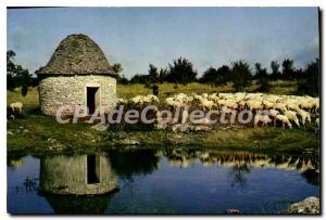 Postcard Modern Quercy On the Causse de Gramat