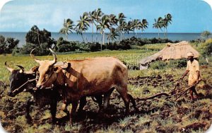 Indian Plough Fiji Postal Used Unknown 