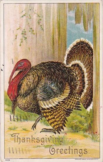 Thanksgiving Greetings With Turkey 1908