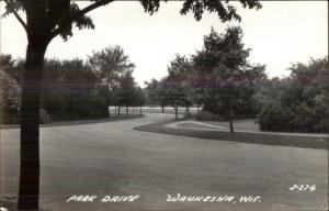 Waukesha WI Park Drive Real Photo Postcard