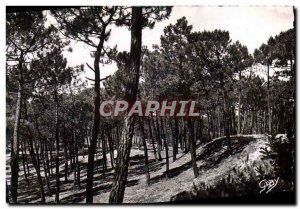 Modern Postcard Saint Jean de Monts La Foret