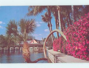 Pre-1980 SILVER SPRINGS SCENE Ocala Florida FL AF9840