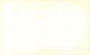 RPPC Postcard From Pinnacle Mt.Wellington Tasmania Australia 280