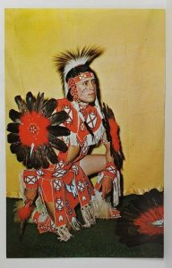 Sioux Indian HIGH CLOUD Descendant of Crazy Horse in Costume Postcard S20