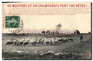 Postcard Old 99 Sheep And A Champagne Font 100 beasts