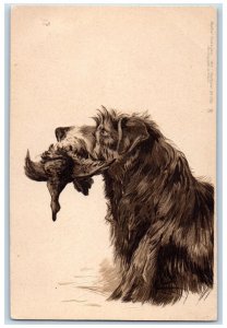 Postcard Irish Wolfhound with Duck in Mouth c1910 Tuck Dogs Unposted