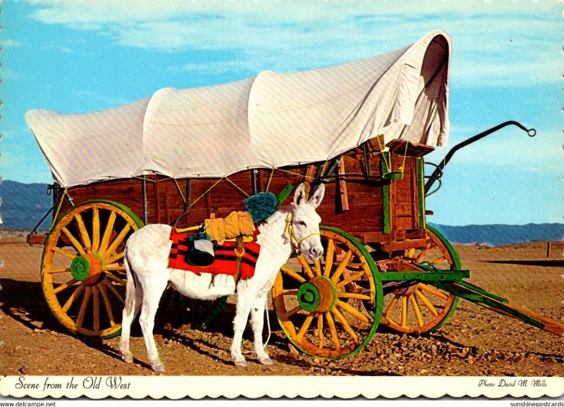 Mule and Conestoga Wagon From The Old West