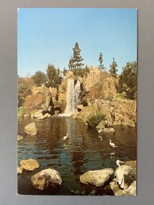 Panoramic Waterfall Busch Gardens Los Angeles CA Chrome Postcard A1158095354