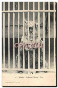 Old Postcard Paris Bear Garden Plants