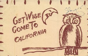 GET WISE COME TO CALIFORNIA~MOON GIVES ADVICE TO OWL~1905 POSTCARD