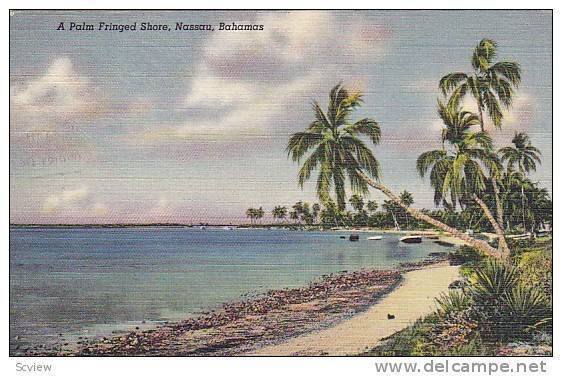 Palm fringed Shore , Bahamas , 30-40s
