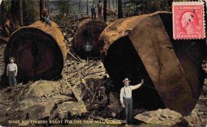 Big Logs Ready for the Saw Mill Logging Oregon 1915 postcard