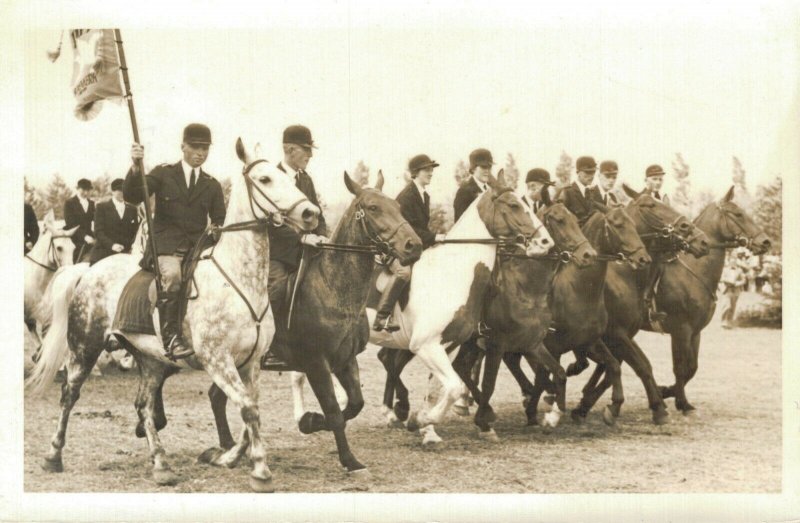 Horse Sports Hippique Concours Real Photo 03.98