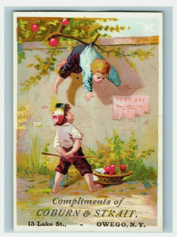 1880's Coburn & Strait Books Stationery Wallpaper Boys Tree Wall P153