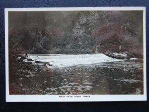 Cornwall RIVER TAMAR Weir Head - Gunnislake - Old RP Postcard W.B.