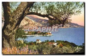 Old Postcard Beaulieu sur Mer advanced Fourmie