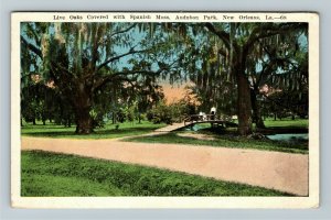 New Orleans LA- Louisiana, Live Oaks Covered Spanish Moss, Vintage Postcard