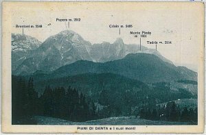 Vintage POSTCARD - BELLUNO province: Danta di Cadore -