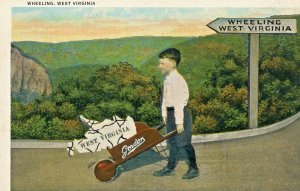 Postcard Early View - Greetings from Wheeling, WV.    L9