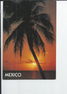 The Sun Sets over the Pacific Along the Beautiful Coast of Mexico  Postcard