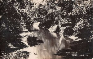 Traer Iowa Wolf Creek Scenic View Real Photo Postcard AA53147