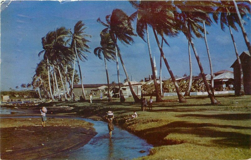 Vintage Postcard; Village Scene, Inarajan Guam, Children Carry Food Home