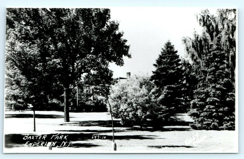 1954 Enderlin North Dakota Baxter Park Trees Unused Real Photo Postcard RPPC A2