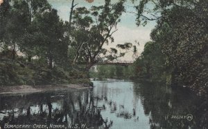 Bomaderry Creek Australia Antique New South Wales Postcard