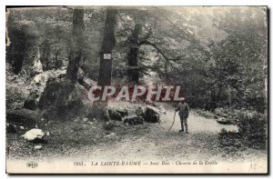 Old Postcard La Sainte Baume Sous Bois de la Grotte