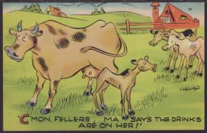 C'Mon Fellers,Ma... Cow,Comic Postcard