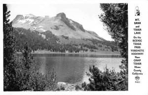 Camp Tioga California Mt Dana Frasher Real Photo Antique Postcard K107781