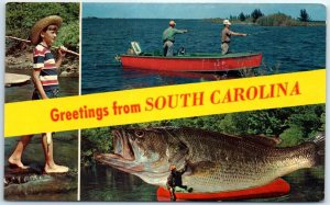 Postcard - Greetings from South Carolina