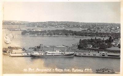 RPPC Port Macquarie & Farm Cove, Sydney, NSW, Australia Vintage Photo Postcard