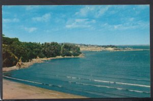 France Postcard - Douarnenez - Vue Panoramique Sur Le Port    T6527