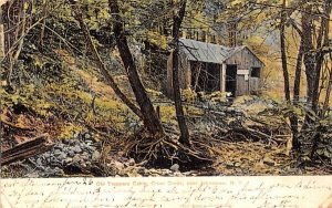 Old Trapper Cabin Johnstown, New York