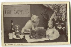 Postcard Kittens waiting to Eat Saying Hurry Up Waiter