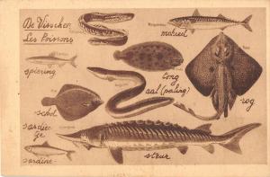 BF39320 fish poisons   animal animaux