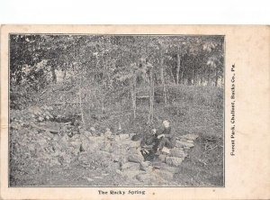 Chalfont Pennsylvania Forest Park Rocky Spring Vintage Postcard AA109408