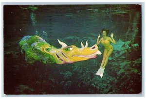 St Petersburg Florida Postcard Weeki Wachee Underwater Grand Canyon Musical 1962