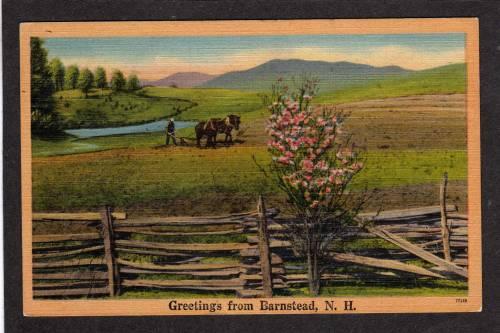 NH Greetings from BARNSTEAD NEW HAMPSHIRE PC Horse Plow